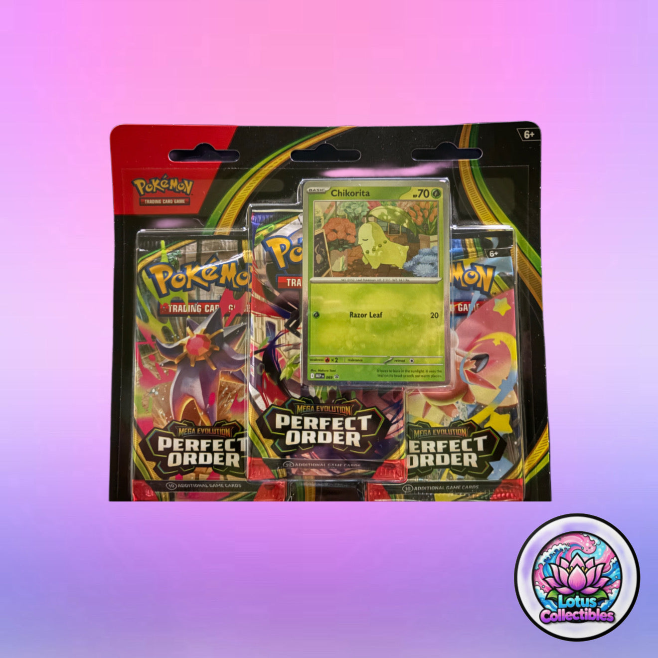 Perfect Order 3 Pack Blister (Chikorita)